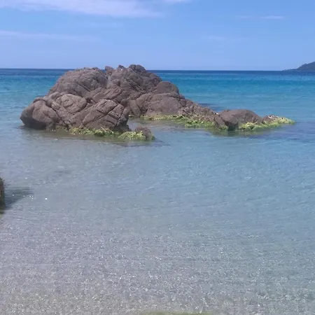 Mini Villa Corsica Bonheur Tatil Evi Serra-di-Ferro (Corsica)